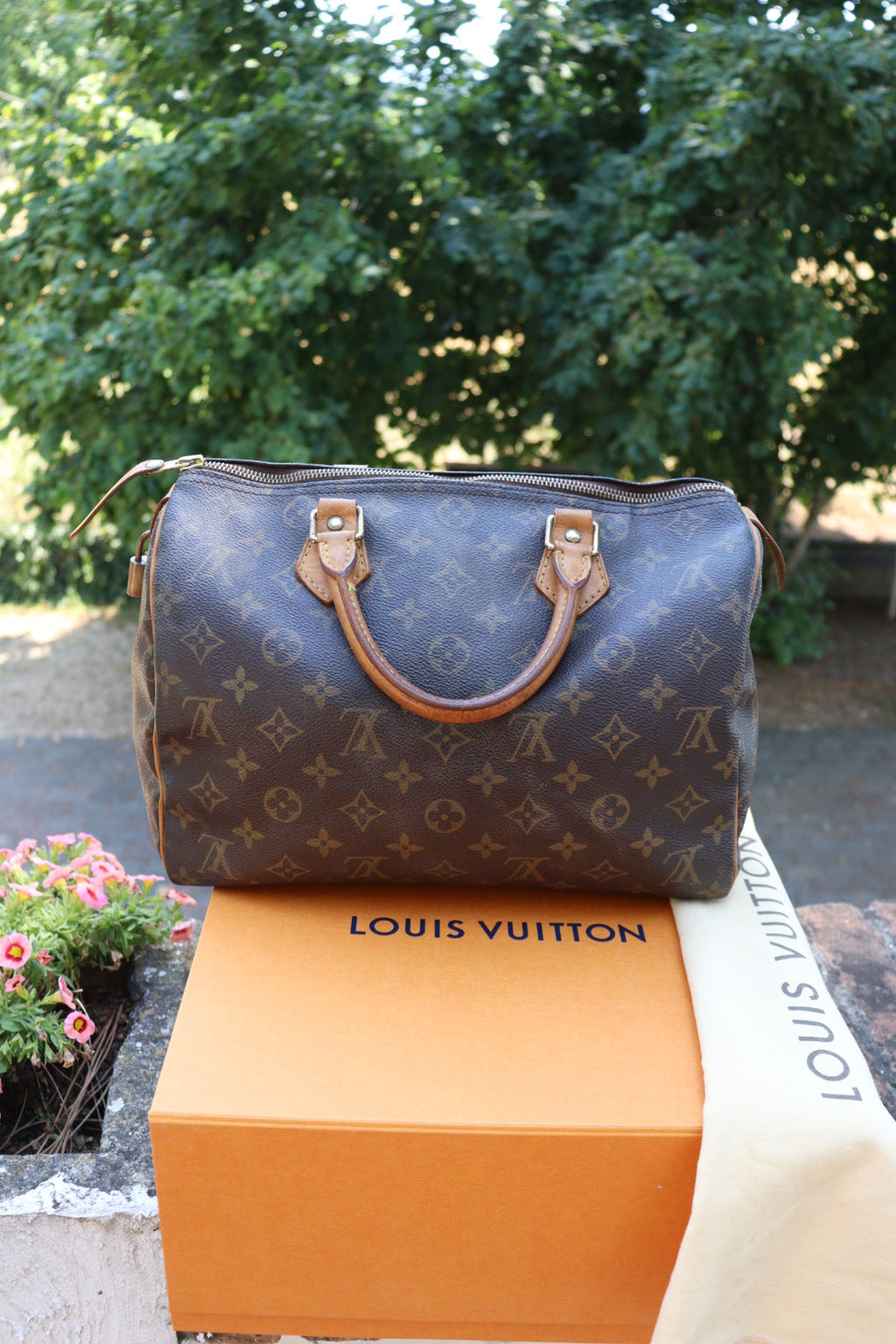 Louis Vuitton Speedy 30